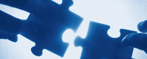 Fitting the puzzle pieces together